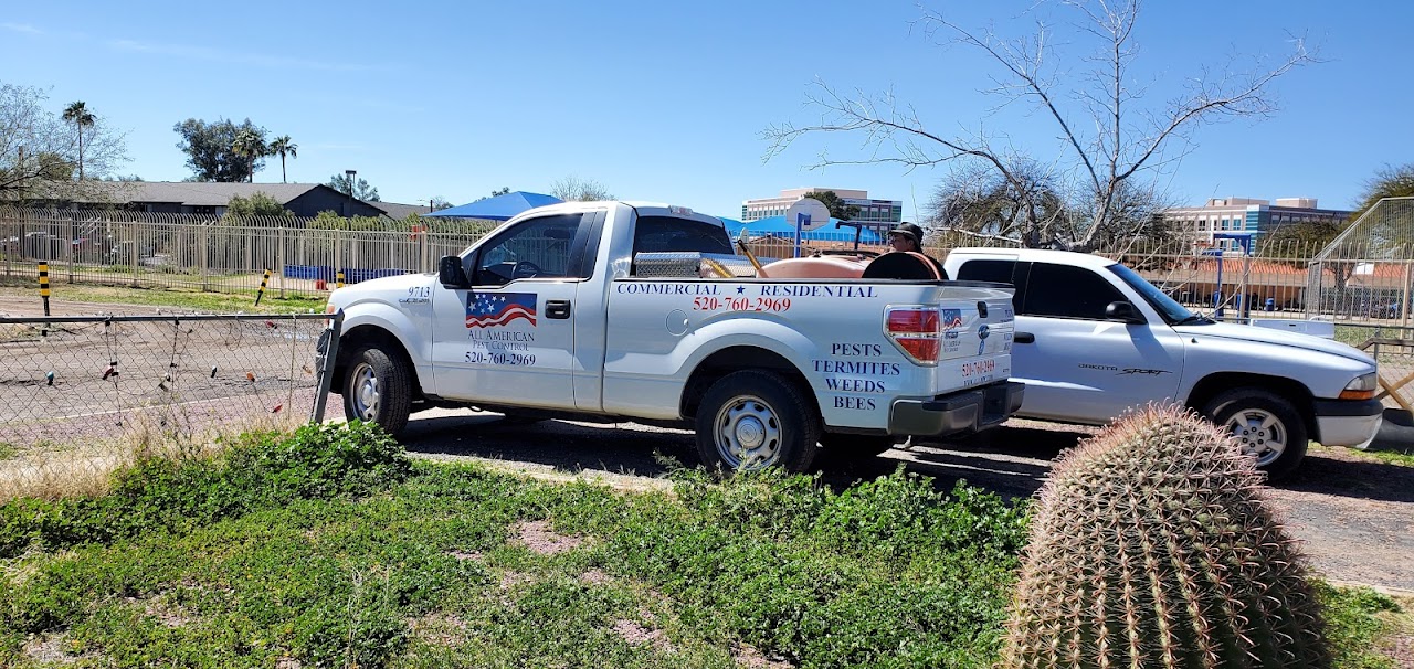 All American Pest Control project